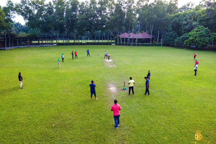 Cricket at Dream Square Resort